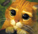 Je vous ait fait une vidéo avec des chatons triste :chat: